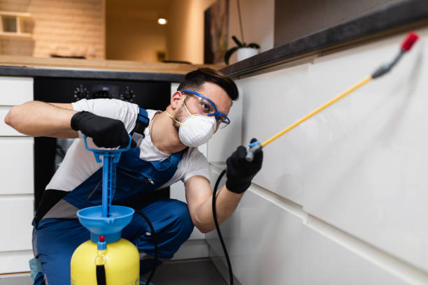 Best Pest Control Near Me  in San Juan Pistrano, CA