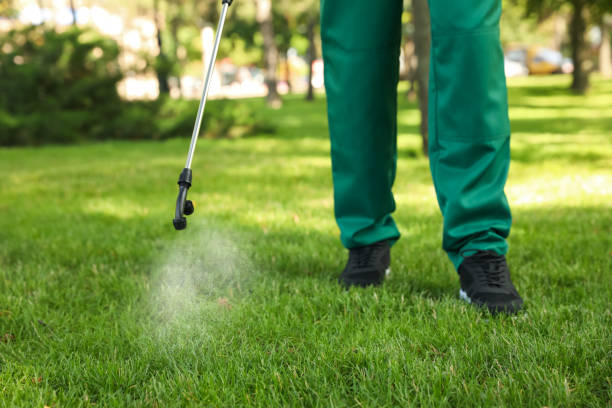 Best Rat Extermination Near Me  in San Juan Pistrano, CA