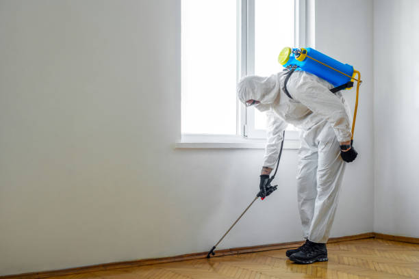 Reliable San Juan Capistrano, CA Pest Control Solutions